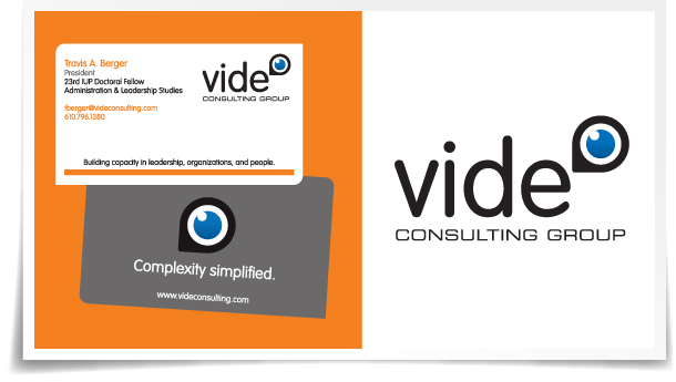 Vide Consulting logo and business card design