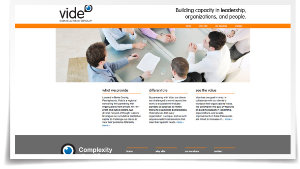 Vide Consulting web site